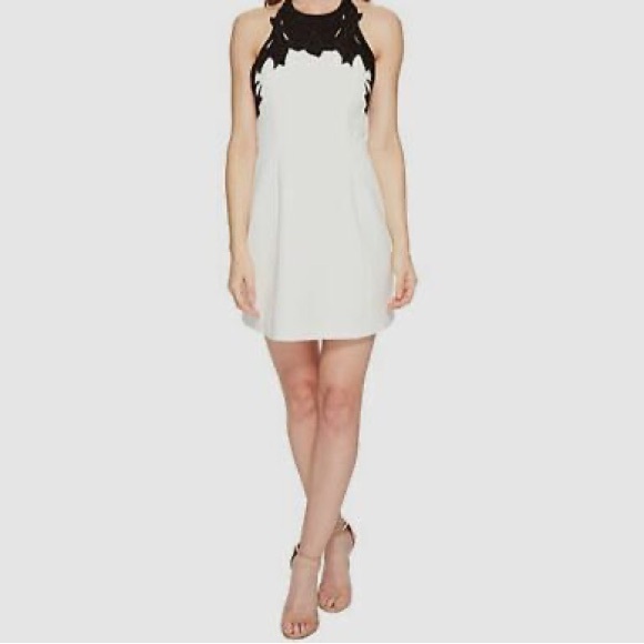 Halston Heritage White Embroidered Colorblock Mini Dress - Picture 3 of 9